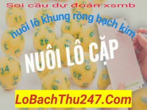 soi-cau-lo-dep-247-mien-bac-chinh-xac-hom-nay-29-12