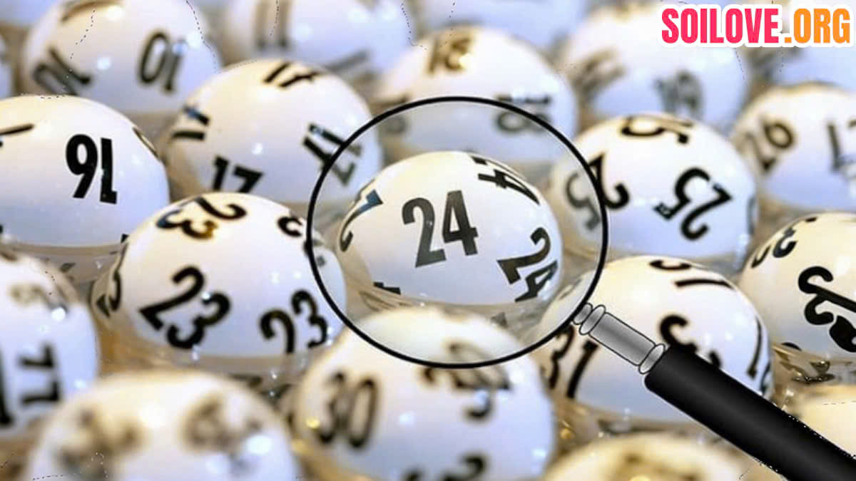 rồng bạch kim 247 chính xác